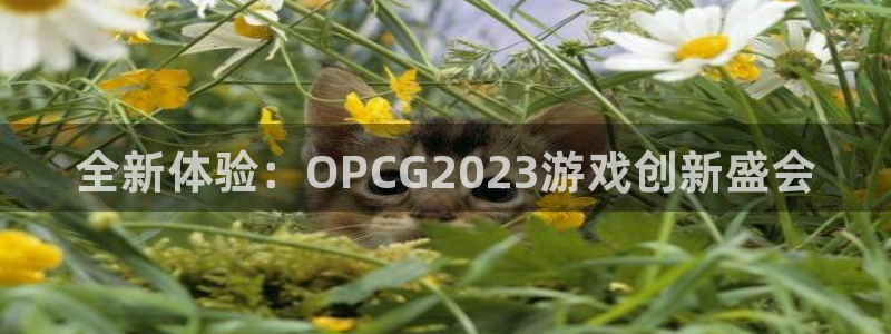 奇亿娱乐平台登录线路：全新体验：OPCG2023游戏创新盛会