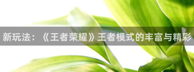 奇亿娱乐注册测速：新玩法：《王者荣耀》王者模式的丰富与精彩