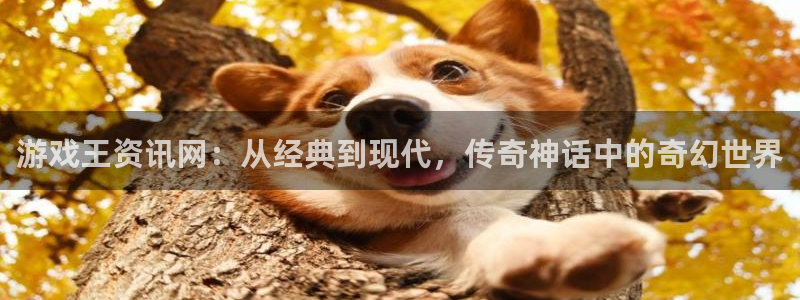 奇亿娱乐官方注册登录：游戏王资讯网：从经典到现代，传奇神话中