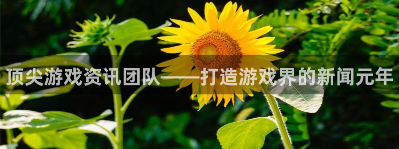 奇亿娱乐测速登陆：顶尖游戏资讯团队——打造游戏界的新闻元年