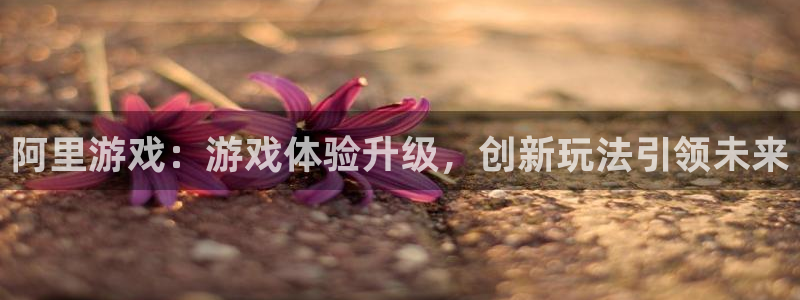 奇亿娱乐官网登录：阿里游戏：游戏体验升级，创新玩法引领未来