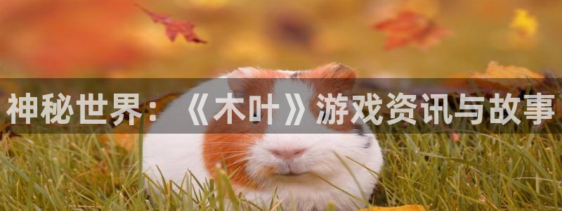 奇亿娱乐平台注册资金多少：神秘世界：《木叶》游戏资讯与故事