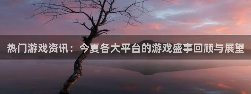 奇亿娱乐网址注册：热门游戏资讯：今夏各大平台的游戏盛事回顾与